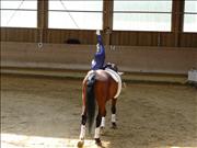 voltitag 2009 _CD1 120